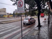 Citroën C4 Excl.2.0/2.0 Solaris Flex 16V 5p Aut. 2009/2010