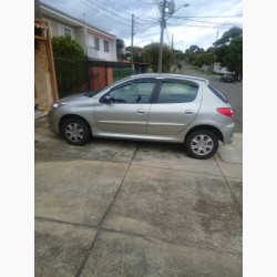 Peugeot 207 XR 1.4 Flex 8V 5p 2012/2012