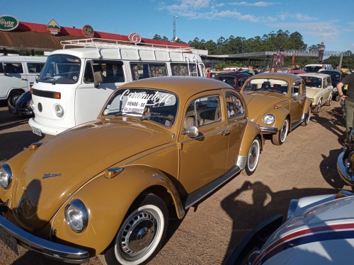 Foto do veículo VW - VolksWagen Fusca 1976/1976 ID: 87486