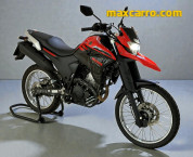 YAMAHA XTZ 250 LANDER 249cc/LANDER BLUEFLEX/ABS 2024/2024
