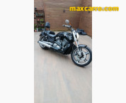 HARLEY-DAVIDSON V-ROD 1250cc MUSCLE VRSCF 2014/2014